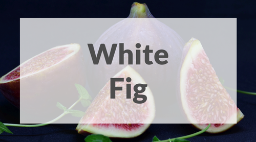 White Fig